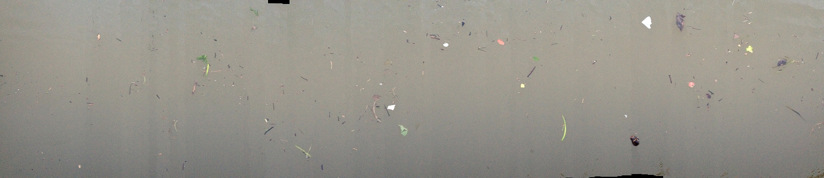 Seine River
